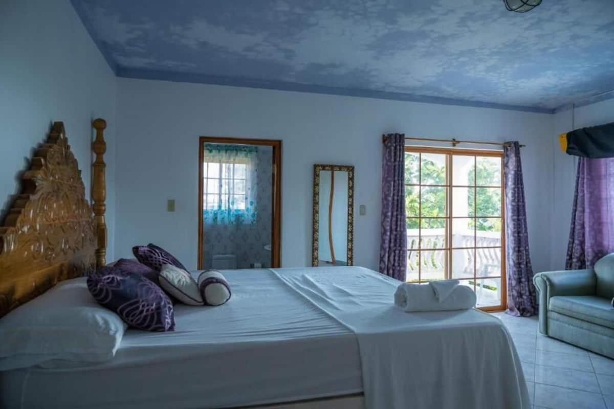 Sweetsop Jamaica Villa And Tours 몬테고 베이 외부 사진